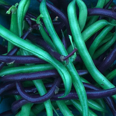 Beans | Purple & Green