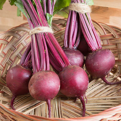 Beets | Red