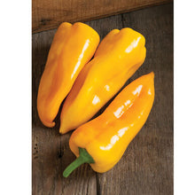 Load image into Gallery viewer, Sweet Pepper | Yellow and Red Blend
